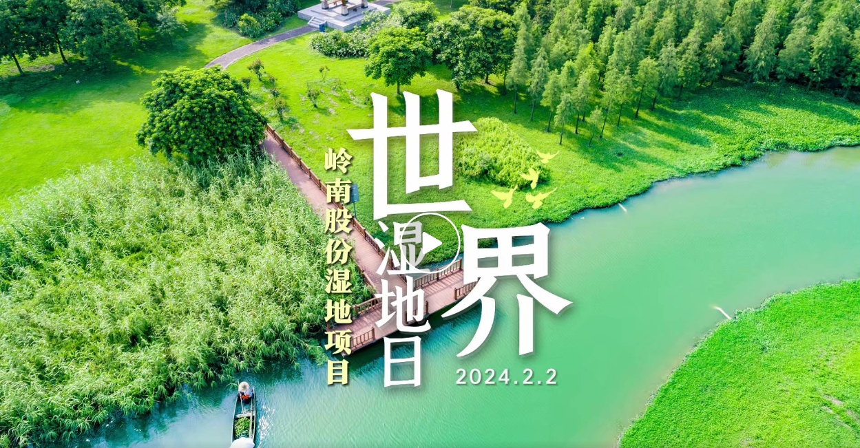 世界湿地日| 3499拉斯维加斯股份带你领略湿地之美